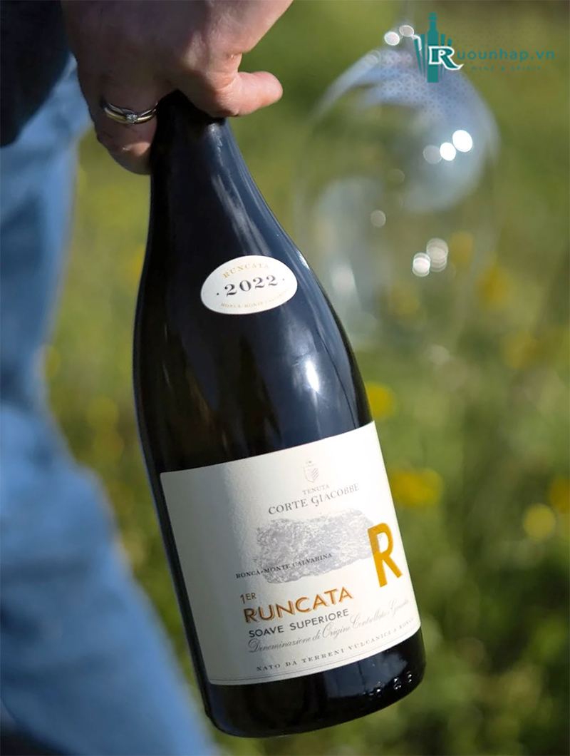 Rượu Vang Tenuta Di Corte Giacobbe Runcata 4 Rượu Vang Tenuta Di Corte Giacobbe Runcata