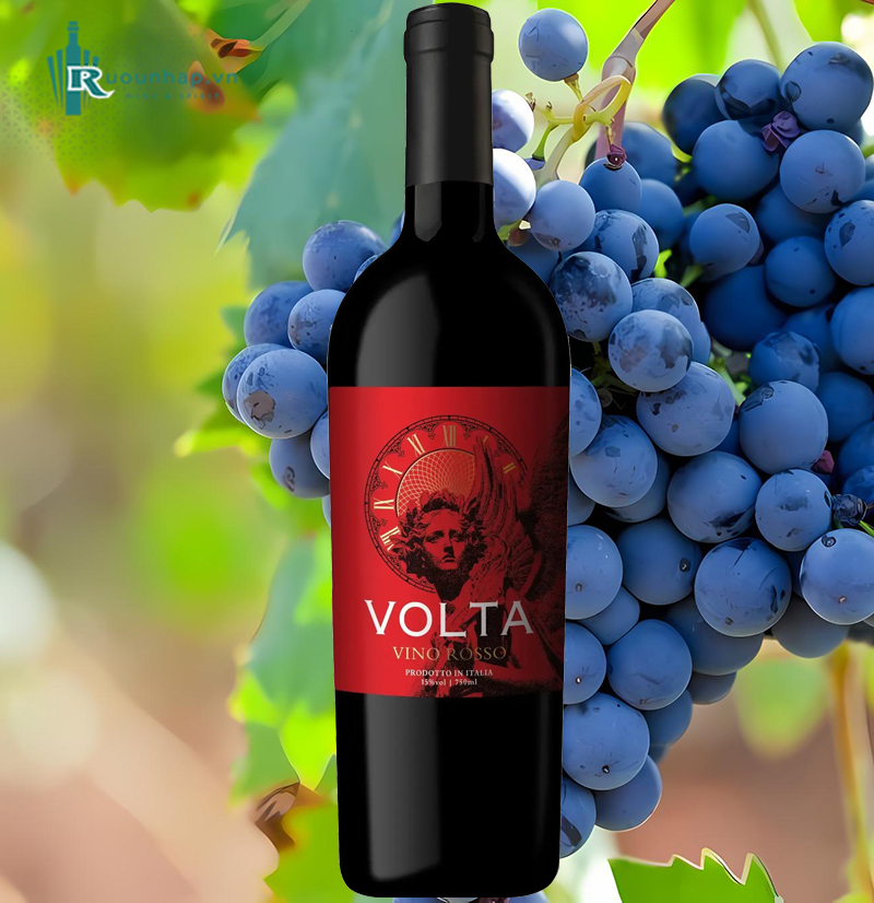 Rượu Vang Volta Vino Rosso 4 Rượu Vang Volta Vino Rosso