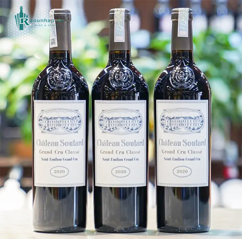 Rượu Vang Chateau Soutard Grand Cru Classe 6 Rượu Vang Chateau Soutard Grand Cru Classe