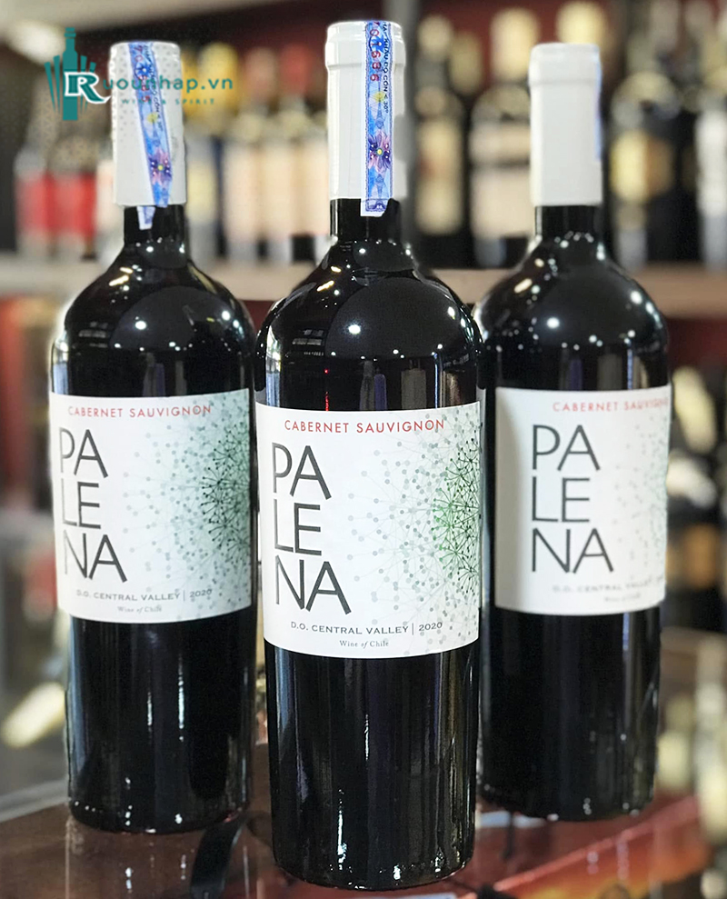 Rượu Vang Palena Cabernet Sauvignon 6 Rượu Vang Palena Cabernet Sauvignon