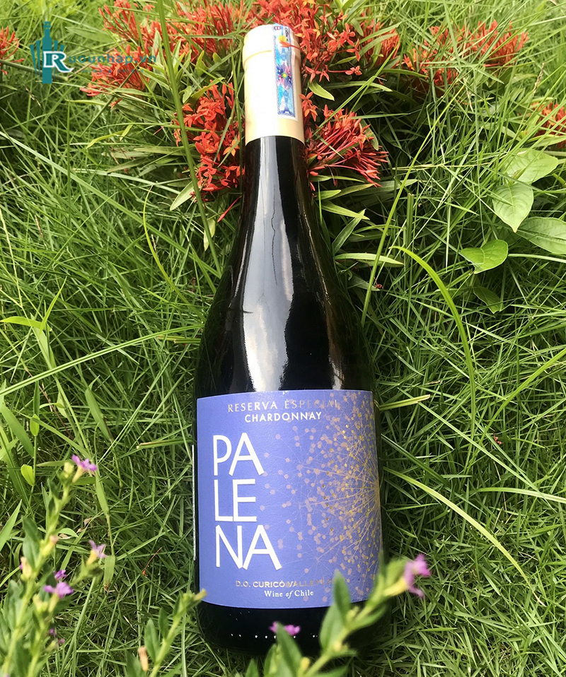 Rượu Vang Palena Reserva Chardonnay 4 Rượu Vang Palena Reserva Chardonnay
