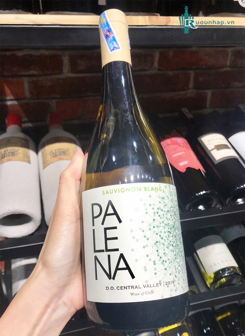Rượu Vang Palena Sauvignon Blanc 4 Rượu Vang Palena Sauvignon Blanc