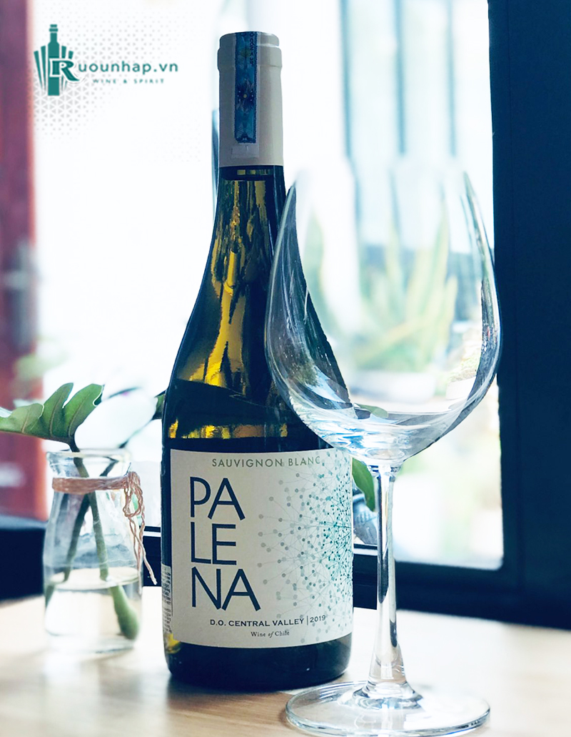 Rượu Vang Palena Sauvignon Blanc 6 Rượu Vang Palena Sauvignon Blanc
