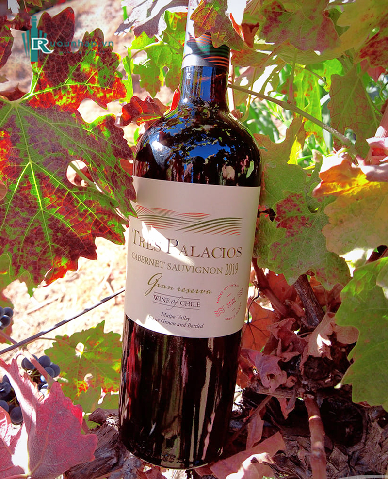 Rượu Vang Tres Palacios Gran Reserva Cabernet Sauvignon 6 Rượu Vang Tres Palacios Gran Reserva Cabernet Sauvignon