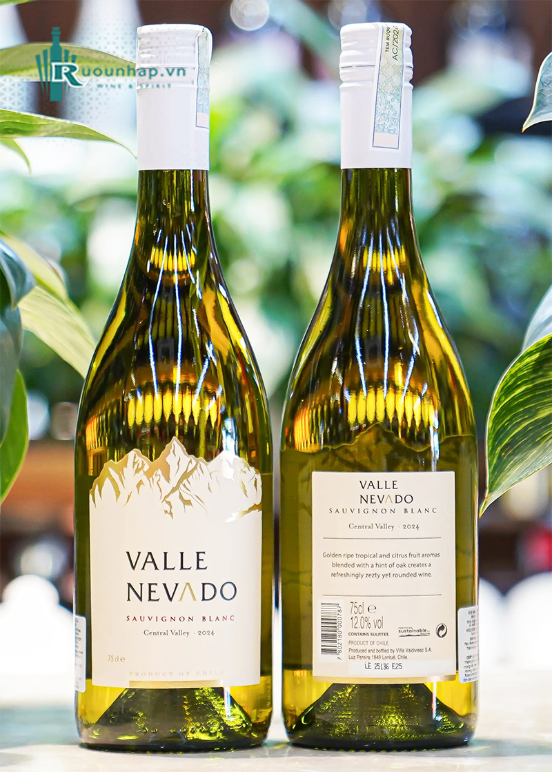 Rượu Vang Valle Nevado Sauvignon Blanc 4 Rượu Vang Valle Nevado Sauvignon Blanc