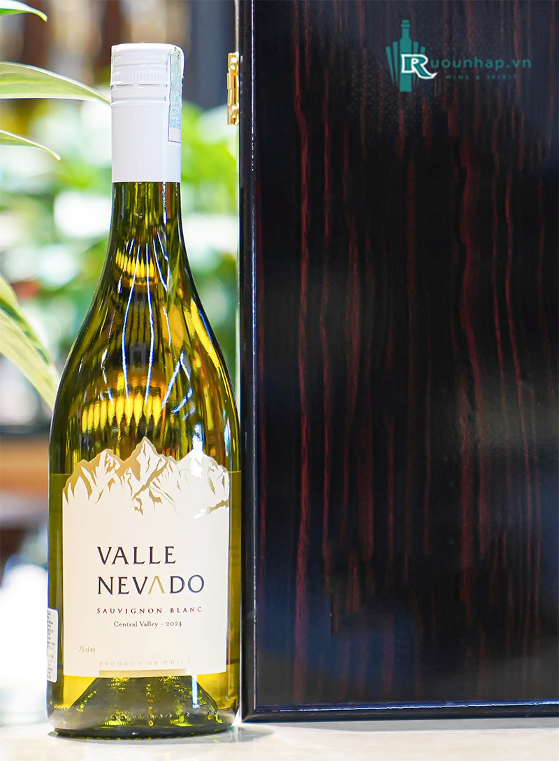 Rượu Vang Valle Nevado Sauvignon Blanc 5 Rượu Vang Valle Nevado Sauvignon Blanc