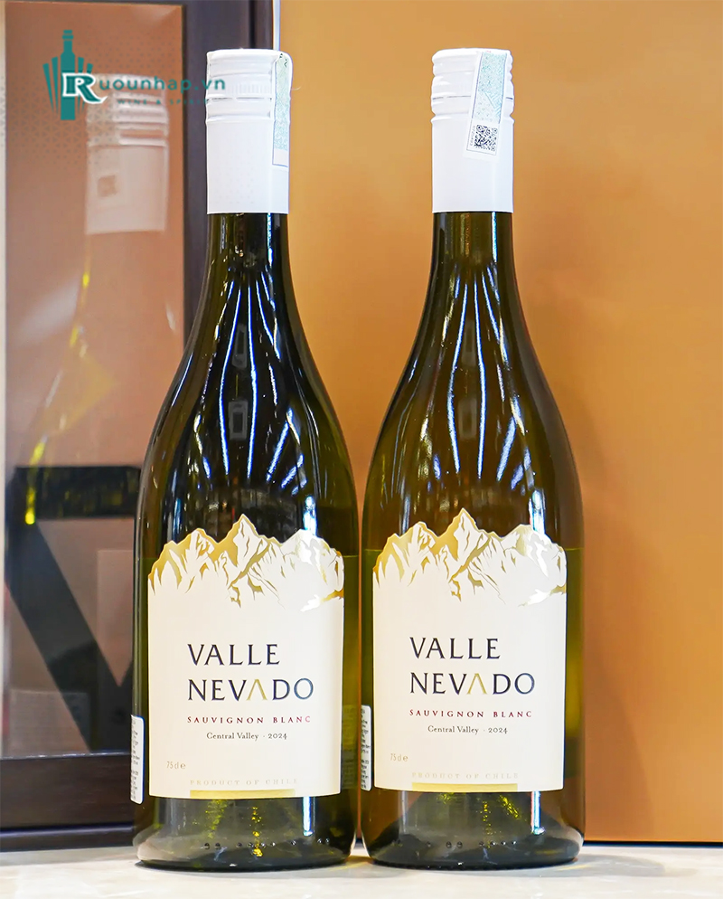 Rượu Vang Valle Nevado Sauvignon Blanc 6 Rượu Vang Valle Nevado Sauvignon Blanc