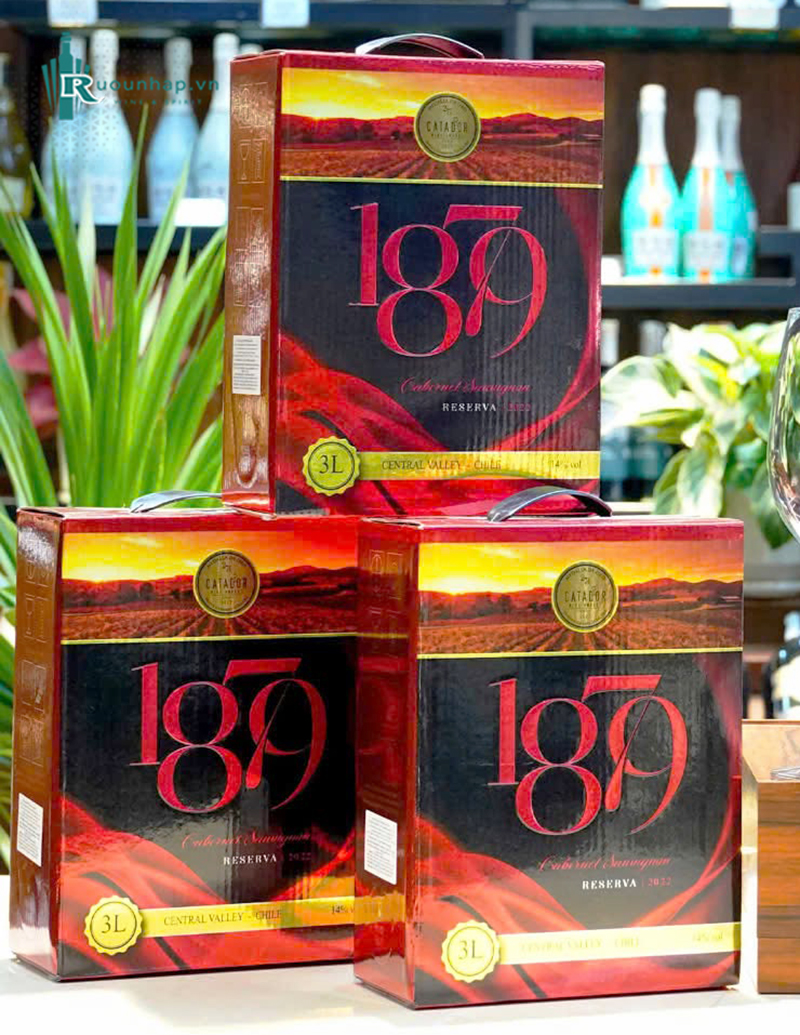 Rượu Vang Bịch 1879 Cabernet Sauvignon 3L 5 Rượu Vang Bịch 1879 Cabernet Sauvignon 3L