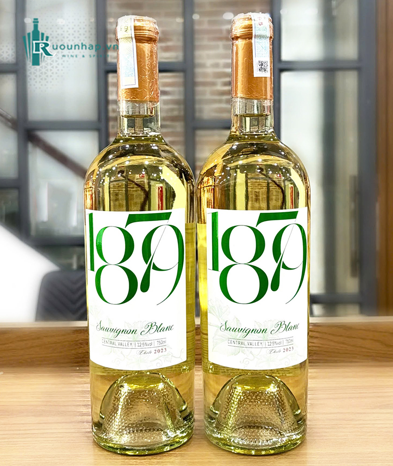 Rượu Vang 1879 Sauvignon Blanc 6 Rượu Vang 1879 Sauvignon Blanc