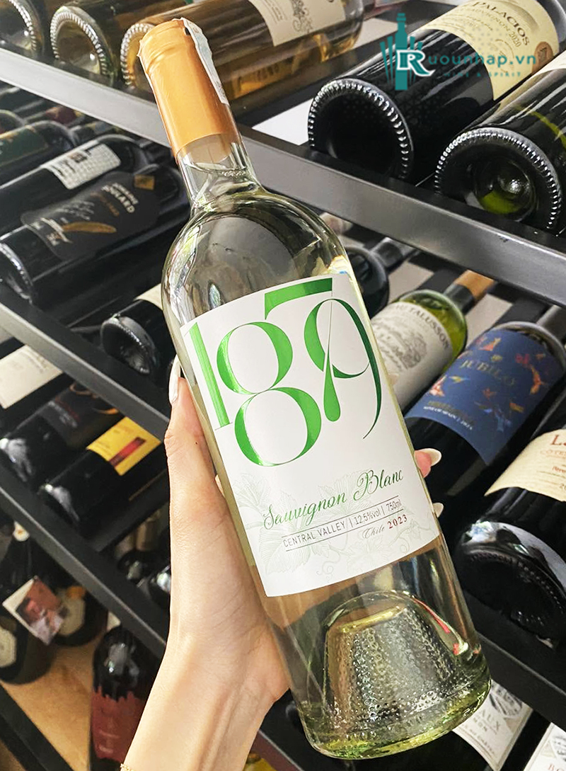 Rượu Vang 1879 Sauvignon Blanc 4 Rượu Vang 1879 Sauvignon Blanc