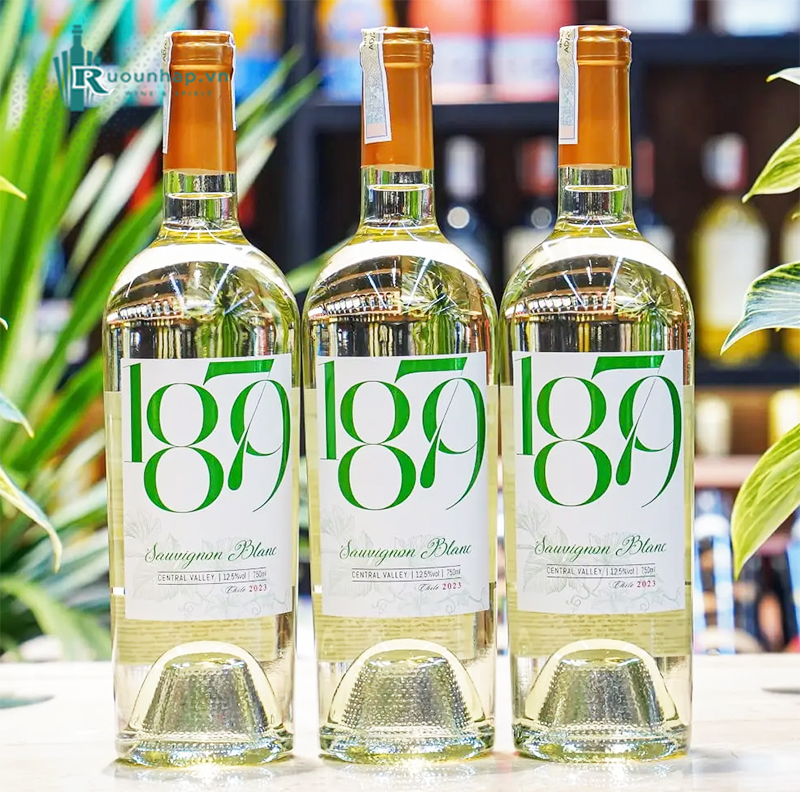 Rượu Vang 1879 Sauvignon Blanc 5 Rượu Vang 1879 Sauvignon Blanc