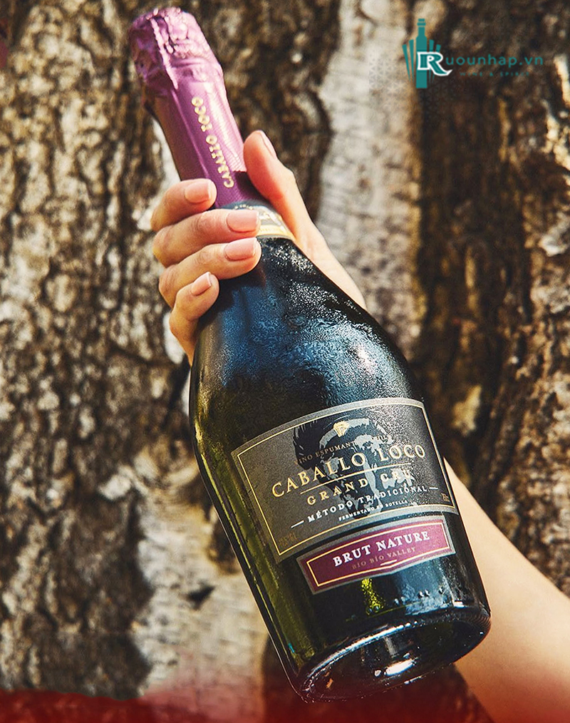 Rượu Vang Caballo Loco Grand Cru Brut Nature 4 Rượu Vang Caballo Loco Grand Cru Brut Nature