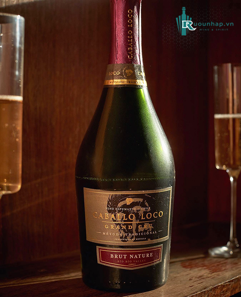 Rượu Vang Caballo Loco Grand Cru Brut Nature 5 Rượu Vang Caballo Loco Grand Cru Brut Nature