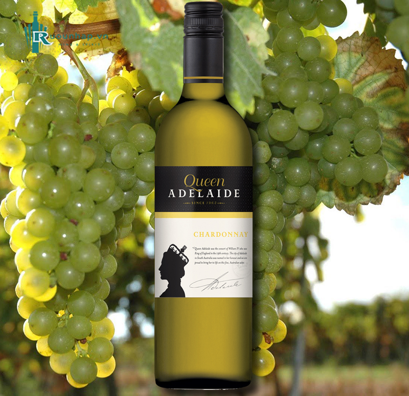 Rượu Vang Queen Adelaide Chardonnay 5 Rượu Vang Queen Adelaide Chardonnay
