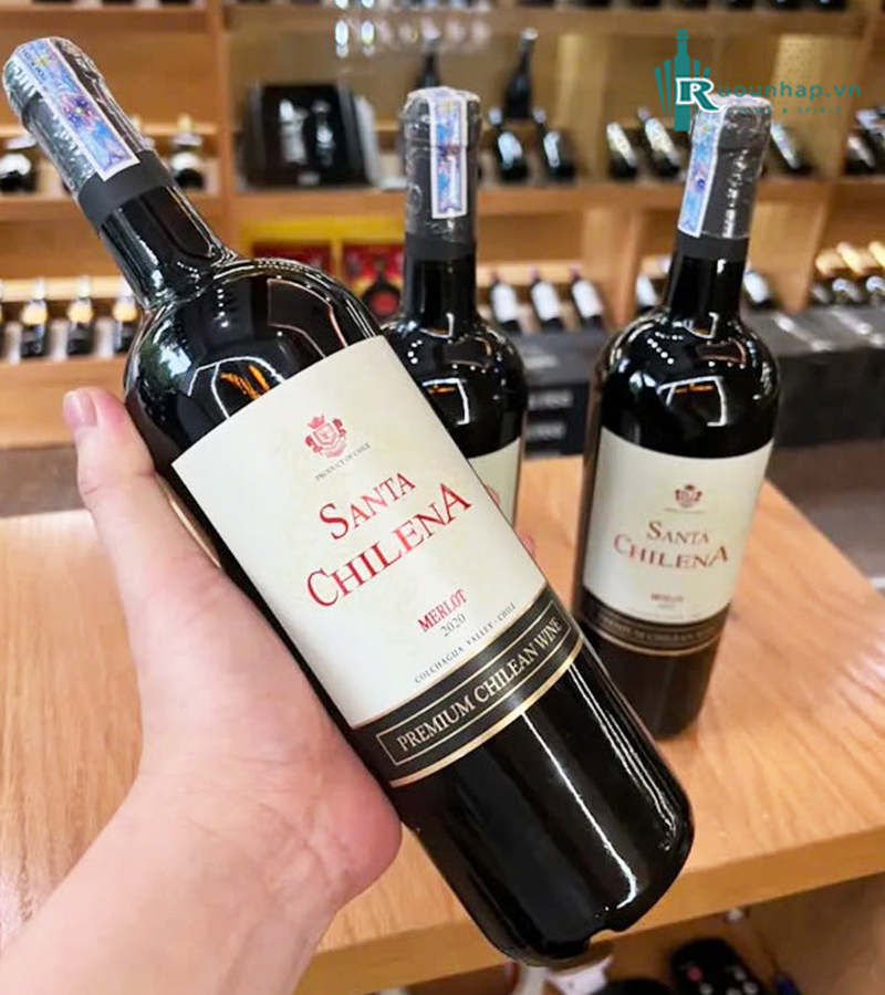 Rượu Vang Santa Chilena Merlot 6 Rượu Vang Santa Chilena Merlot