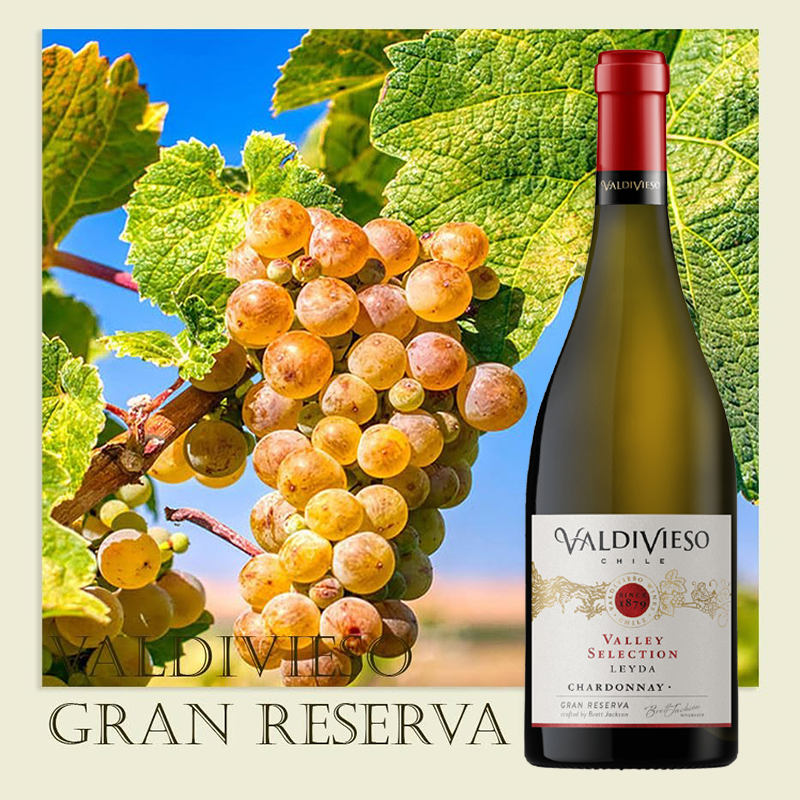 Rượu Vang Valdivieso Gran Reserva Chardonnay 5 Rượu Vang Valdivieso Gran Reserva Chardonnay