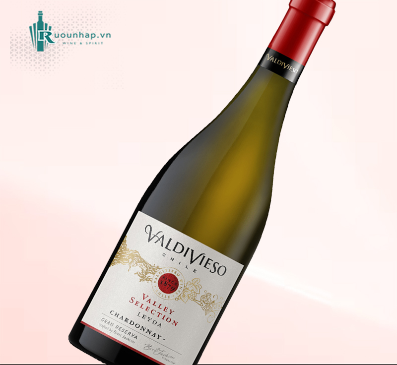 Rượu Vang Valdivieso Gran Reserva Chardonnay 4 Rượu Vang Valdivieso Gran Reserva Chardonnay