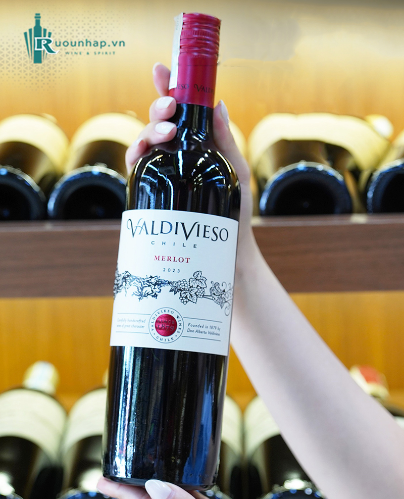 Rượu Vang Valdivieso Merlot 4 Rượu Vang Valdivieso Merlot