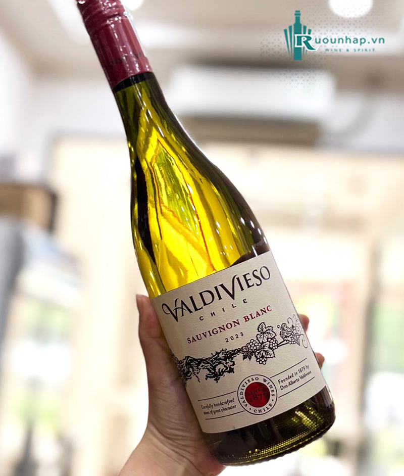 Rượu Vang Valdivieso Sauvignon Blanc 4 Rượu Vang Valdivieso Sauvignon Blanc