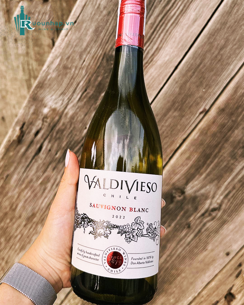 Rượu Vang Valdivieso Sauvignon Blanc 5 Rượu Vang Valdivieso Sauvignon Blanc