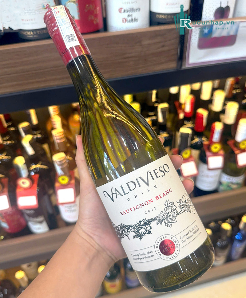 Rượu Vang Valdivieso Sauvignon Blanc 6 Rượu Vang Valdivieso Sauvignon Blanc