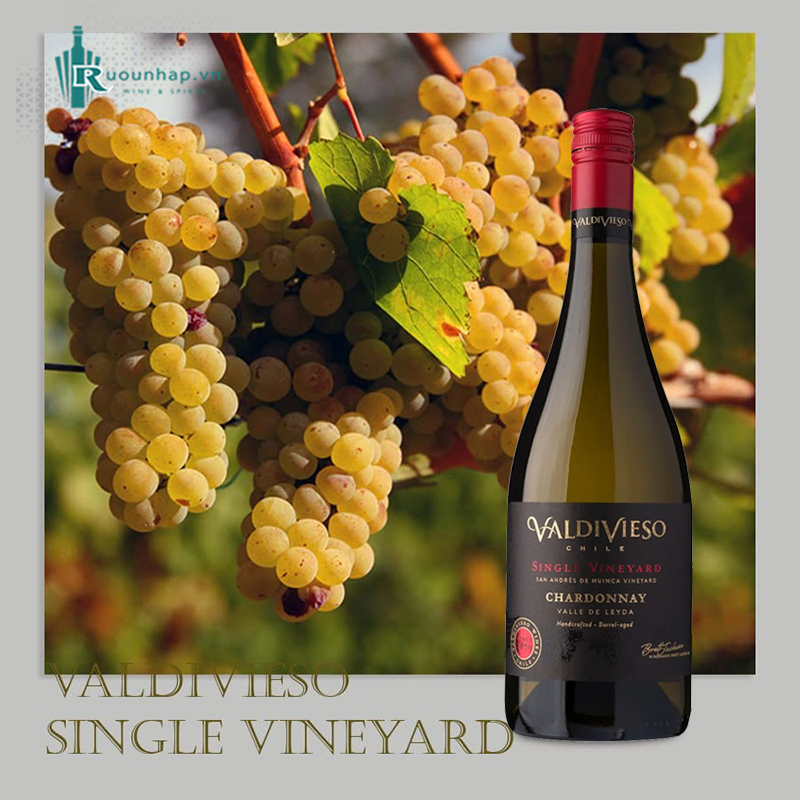 Rượu Vang Valdivieso Single Vineyard Chardonnay 5 Rượu Vang Valdivieso Single Vineyard Chardonnay