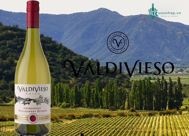Rượu Vang Valdivieso Winemaker Reserva Chardonnay 5 Rượu Vang Valdivieso Winemaker Reserva Chardonnay