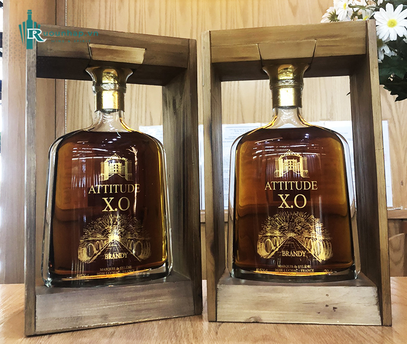 Rượu Attitude XO Brandy 6 Rượu Attitude XO Brandy