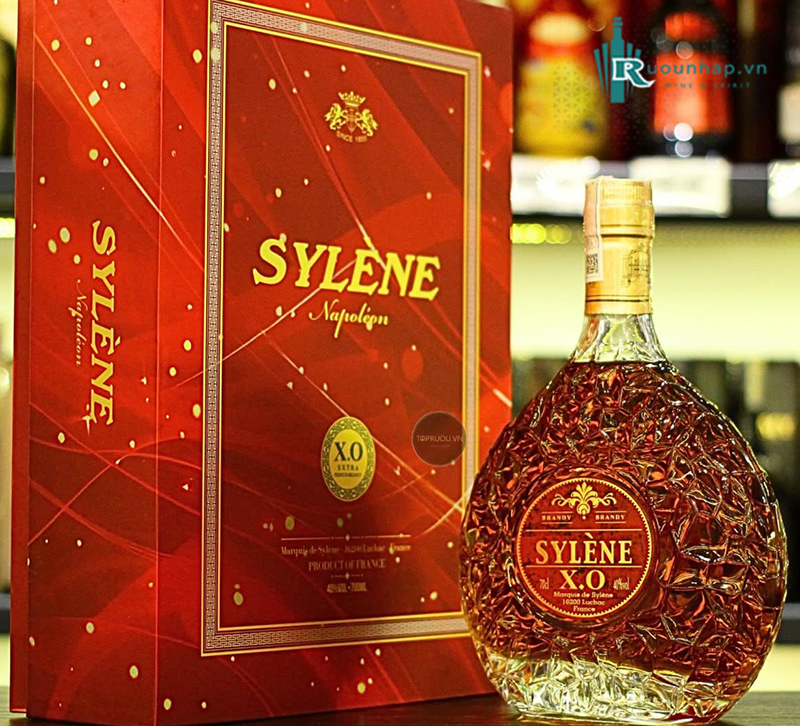 Rượu Brandy XO Sylène 6 Rượu Brandy XO Sylène