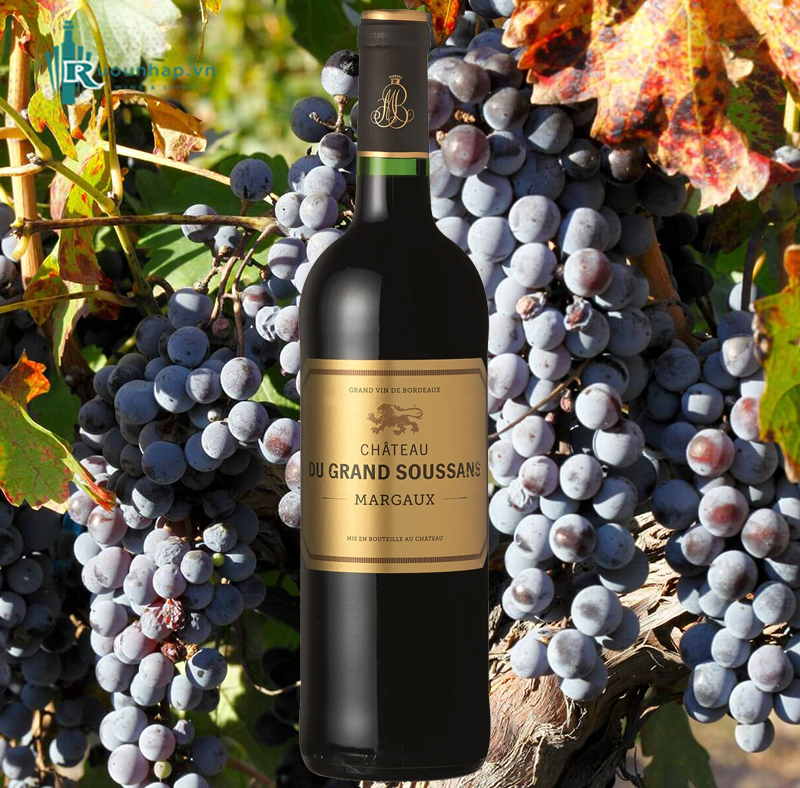 Rượu Vang Chateau du Grand Soussans Margaux 5 Rượu Vang Chateau du Grand Soussans Margaux