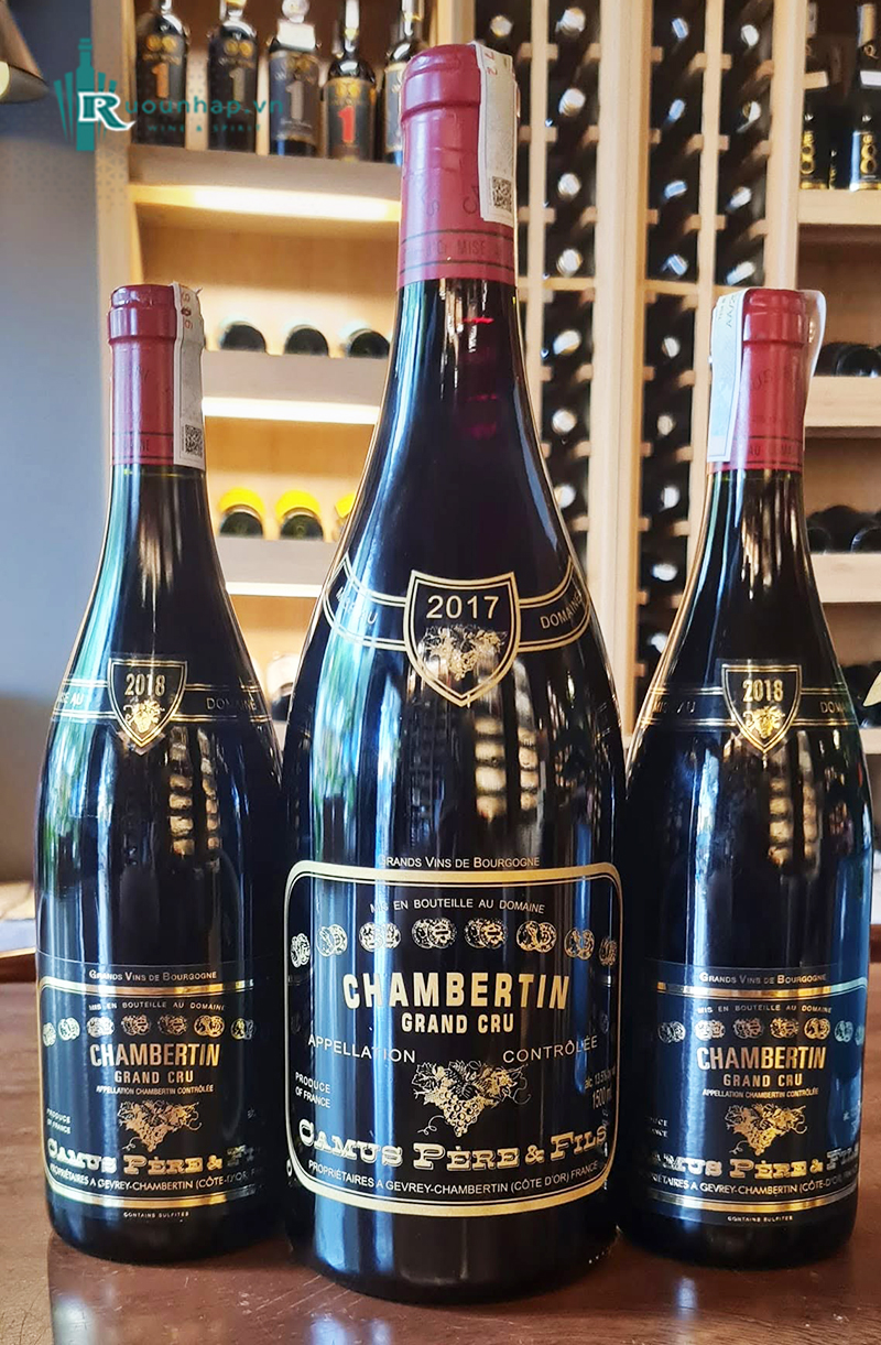 Rượu Vang Domaine Camus Pere et Fils Chambertin Grand Cru 5 Rượu Vang Domaine Camus Pere et Fils Chambertin Grand Cru