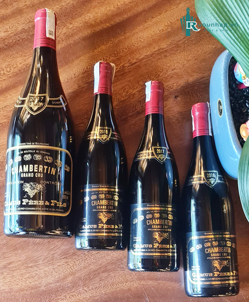 Rượu Vang Domaine Camus Pere et Fils Chambertin Grand Cru 6 Rượu Vang Domaine Camus Pere et Fils Chambertin Grand Cru