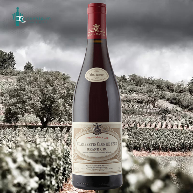 Rượu Vang Domaine Seguin-Manuel Chambertin Clos De Bèze Grand Cru 5 Rượu Vang Domaine Seguin-Manuel Chambertin Clos De Bèze Grand Cru