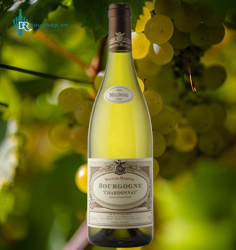 Rượu Vang Domaine Seguin-Manuel Chardonnay Bourgogne 5 Rượu Vang Domaine Seguin-Manuel Chardonnay Bourgogne