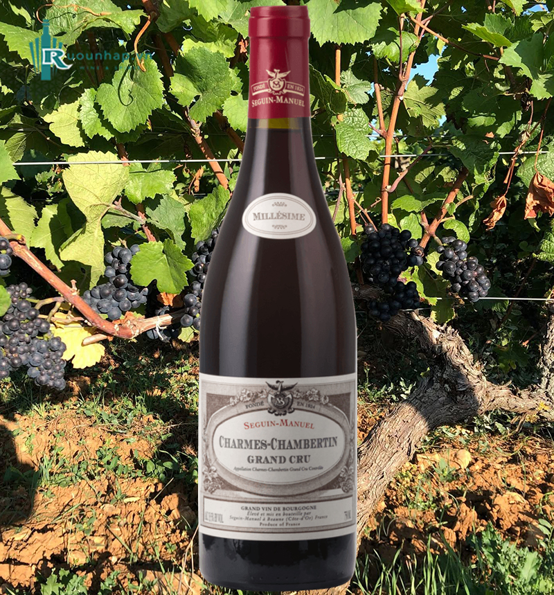 Rượu Vang Domaine Seguin-Manuel Charmes-Chambertin Grand Cru 5 Rượu Vang Domaine Seguin-Manuel Charmes-Chambertin Grand Cru