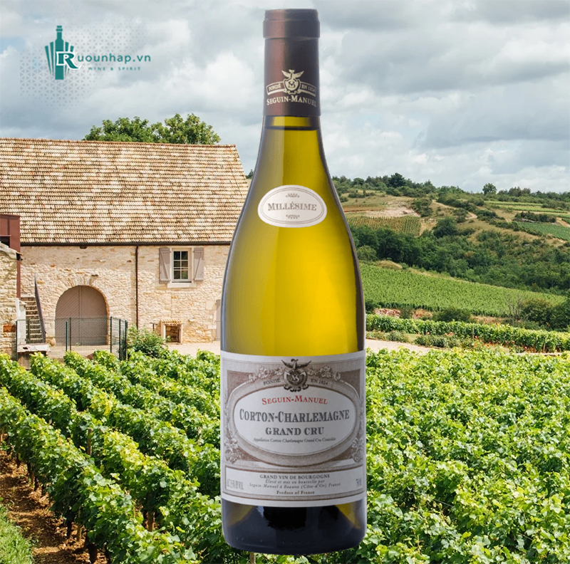 Rượu Vang Domaine Seguin-Manuel Corton-Charlemagne Grand Cru 4 Rượu Vang Domaine Seguin-Manuel Corton-Charlemagne Grand Cru