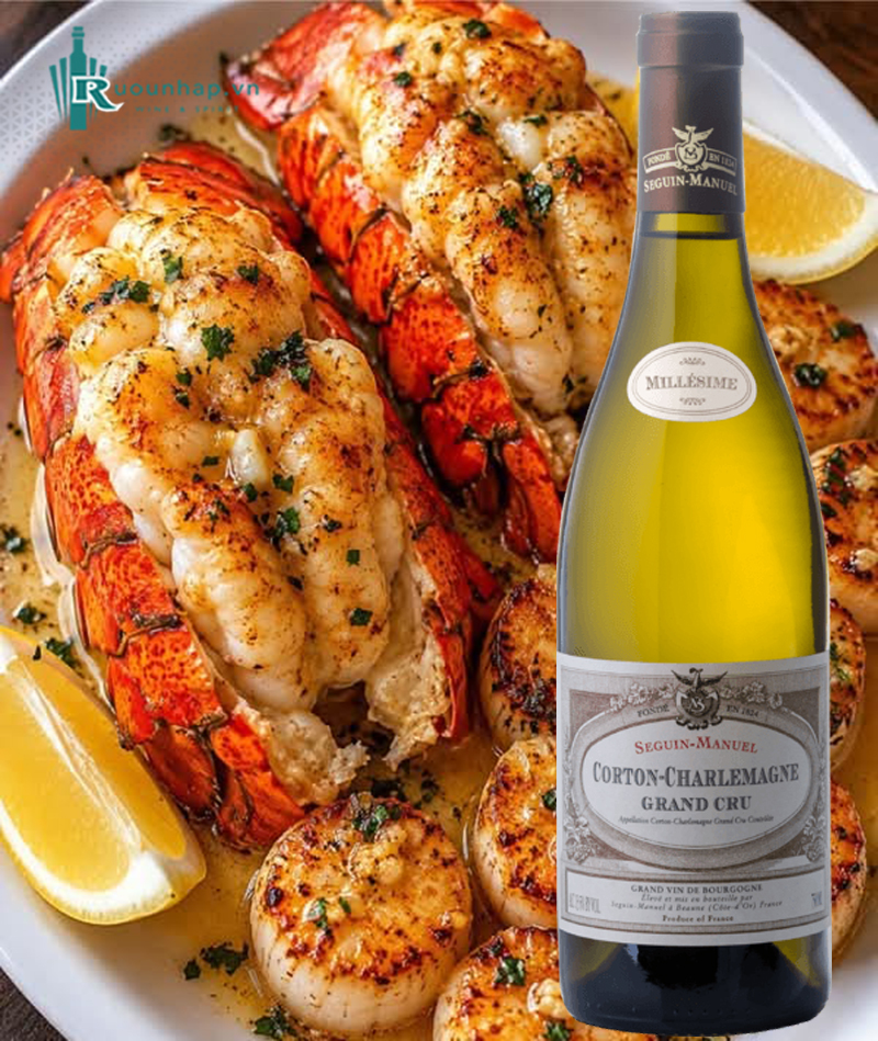 Rượu Vang Domaine Seguin-Manuel Corton-Charlemagne Grand Cru 6 Rượu Vang Domaine Seguin-Manuel Corton-Charlemagne Grand Cru