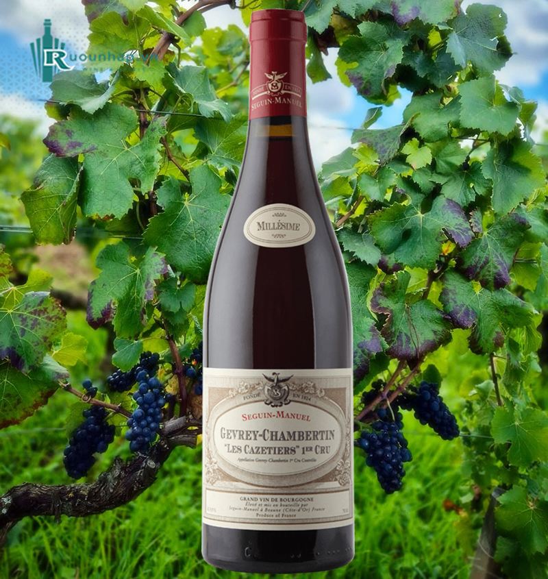 Rượu Vang Domaine Seguin-Manuel Gevrey-Chambertin Les Cazetiers 1er Cru 5 Rượu Vang Domaine Seguin-Manuel Gevrey-Chambertin Les Cazetiers 1er Cru