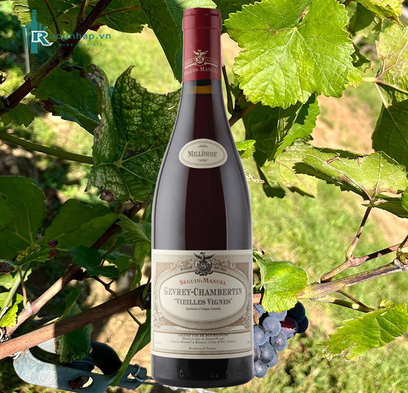 Rượu Vang Domaine Seguin-Manuel Gevrey-Chambertin Vieilles Vignes 5 Rượu Vang Domaine Seguin-Manuel Gevrey-Chambertin Vieilles Vignes