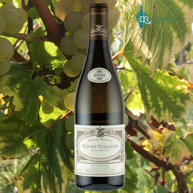 Rượu Vang Domaine Seguin-Manuel Mâcon-Villages 5 Rượu Vang Domaine Seguin-Manuel Mâcon-Villages