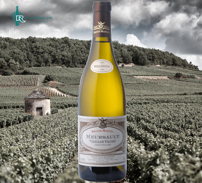 Rượu Vang Domaine Seguin-Manuel Meursault Vieilles Vigne 5 Rượu Vang Domaine Seguin-Manuel Meursault Vieilles Vigne