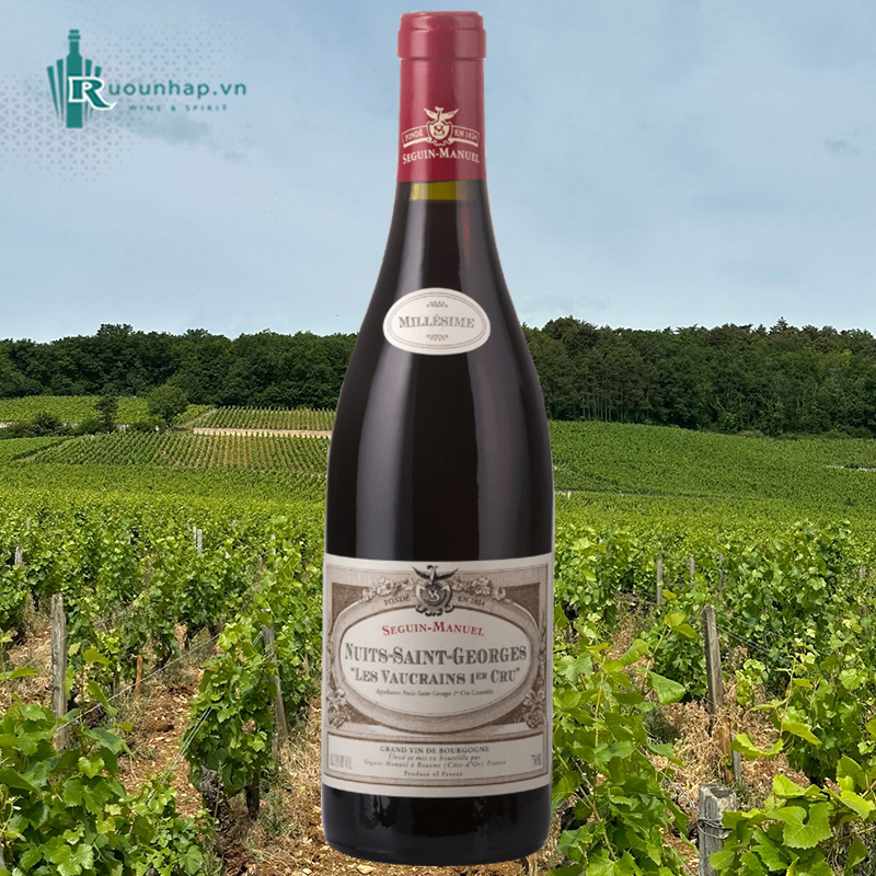 Rượu Vang Domaine Seguin-Manuel Nuits-Saint-Georges 1er Cru Les Vaucrains 5 Rượu Vang Domaine Seguin-Manuel Nuits-Saint-Georges 1er Cru Les Vaucrains
