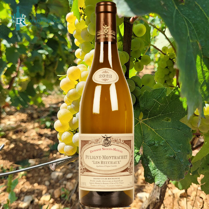 Rượu Vang Domaine Seguin-Manuel Puligny Montrachet Les Reuchaux 5 Rượu Vang Domaine Seguin-Manuel Puligny Montrachet Les Reuchaux
