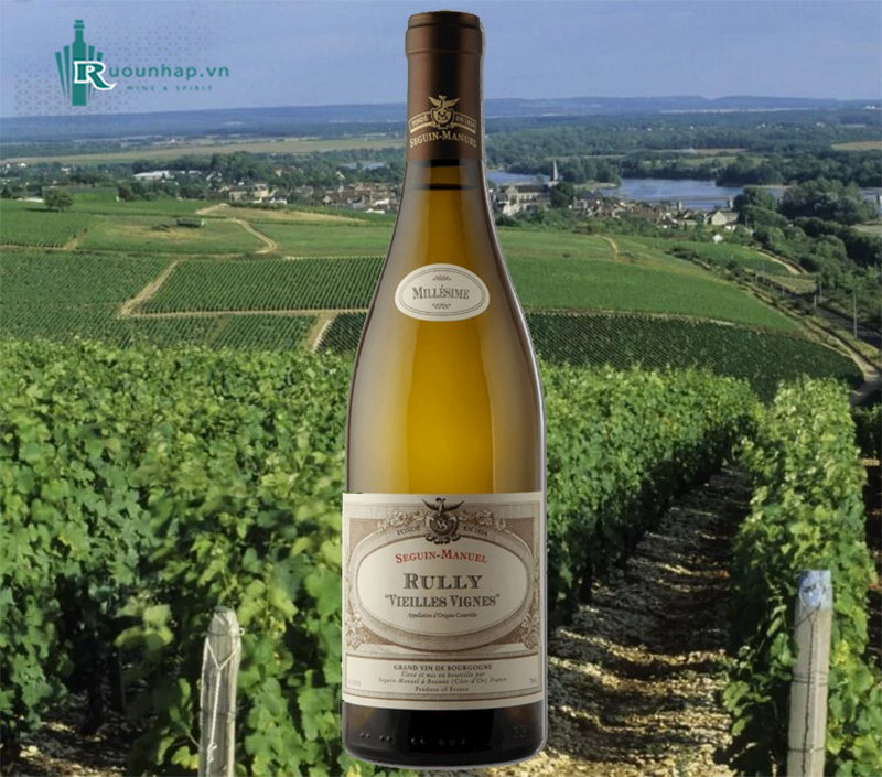 Rượu Vang Domaine Seguin-Manuel Rully Vieilles Vignes 4 Rượu Vang Domaine Seguin-Manuel Rully Vieilles Vignes