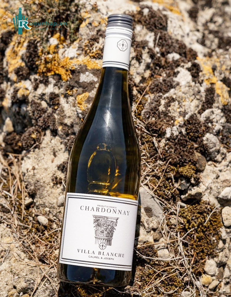 Rượu Vang Villa Blanche Chardonnay Calmel & Joseph 4 Rượu Vang Villa Blanche Chardonnay Calmel & Joseph