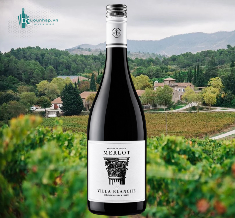Rượu Vang Villa Blanche Merlot Calmel & Joseph 4 Rượu Vang Villa Blanche Merlot Calmel & Joseph