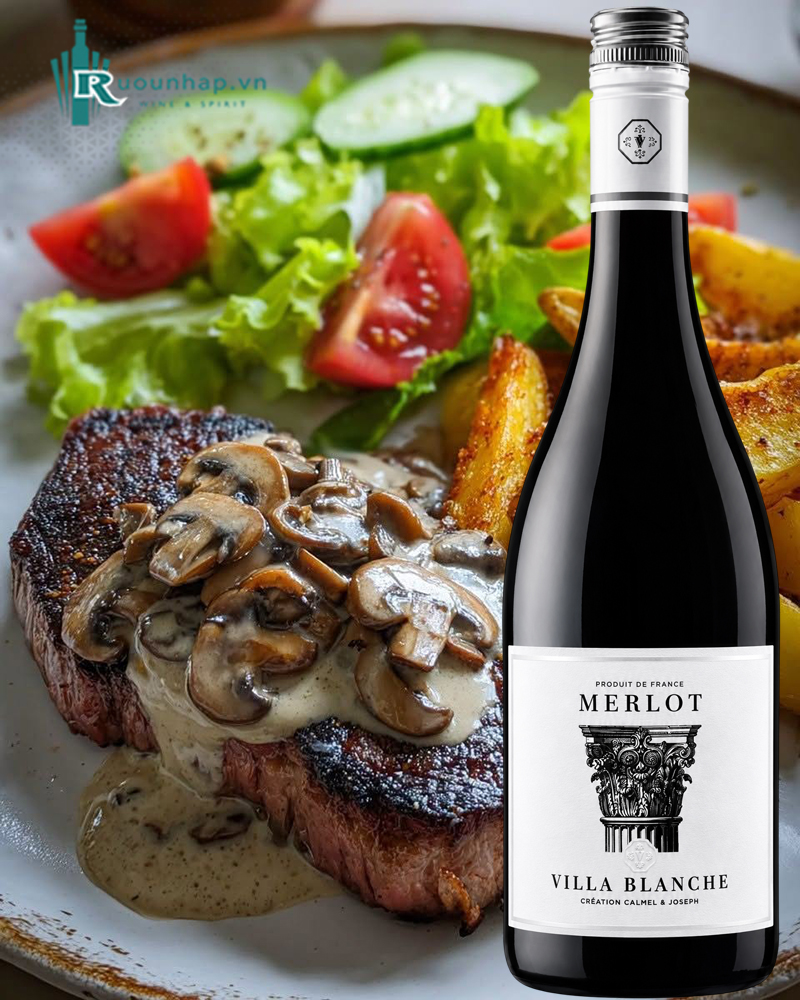 Rượu Vang Villa Blanche Merlot Calmel & Joseph 6 Rượu Vang Villa Blanche Merlot Calmel & Joseph