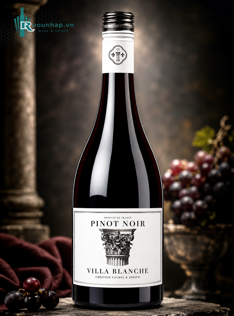 Rượu Vang Villa Blanche Pinot Noir Calmel & Joseph 5 Rượu Vang Villa Blanche Pinot Noir Calmel & Joseph