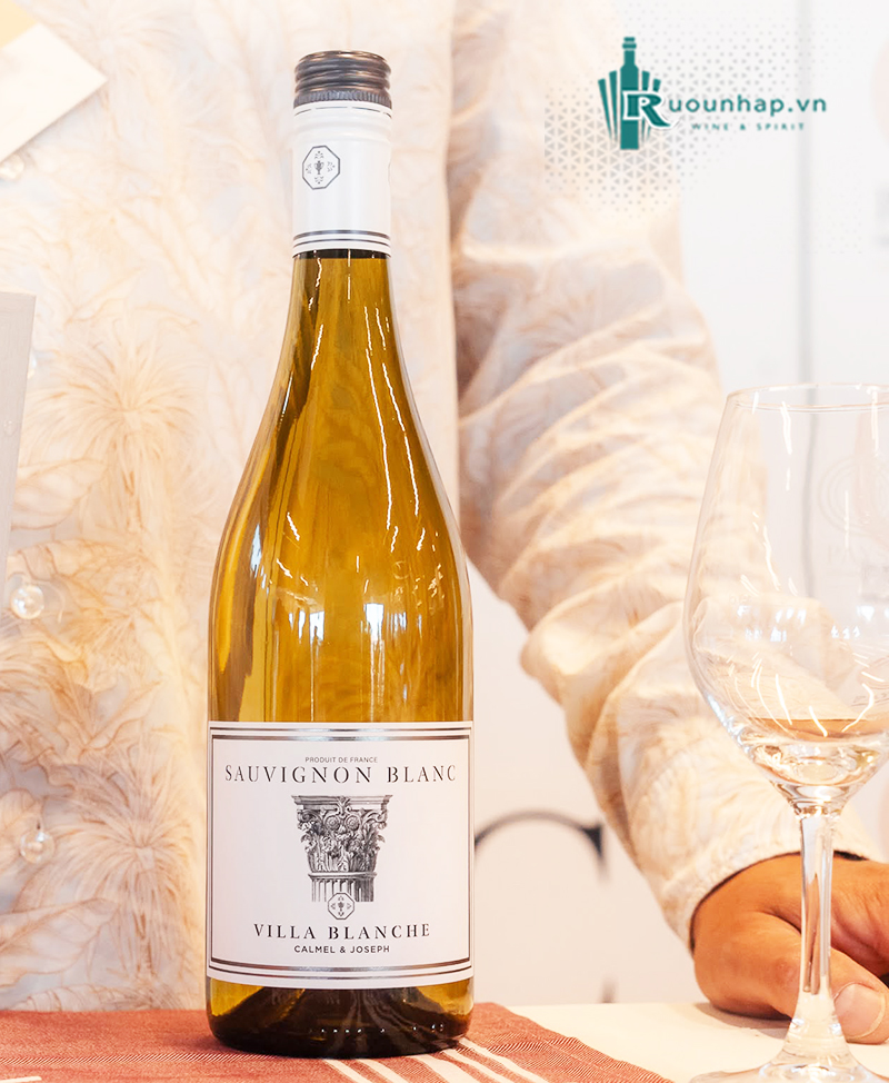 Rượu Vang Villa Blanche Sauvignon Blanc Calmel & Joseph 4 Rượu Vang Villa Blanche Sauvignon Blanc Calmel & Joseph