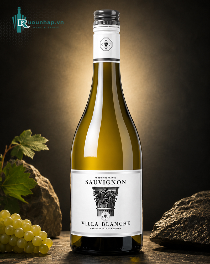 Rượu Vang Villa Blanche Sauvignon Blanc Calmel & Joseph 6 Rượu Vang Villa Blanche Sauvignon Blanc Calmel & Joseph